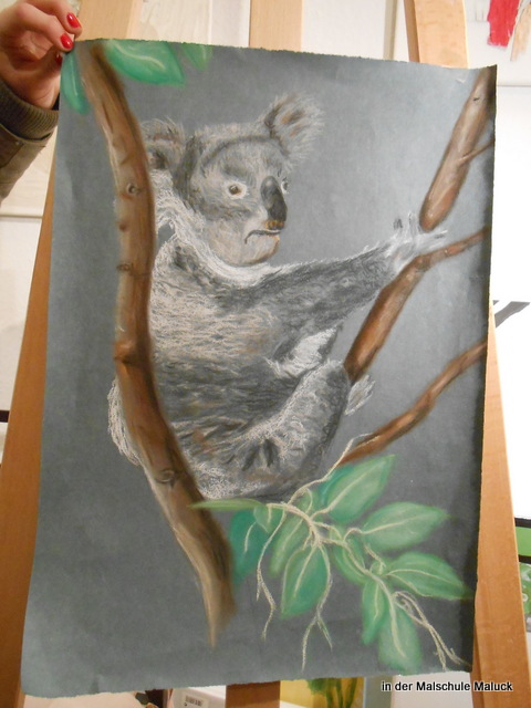 043Ein Koala  in Pastellkreide von Aline in der Malschule Maluck